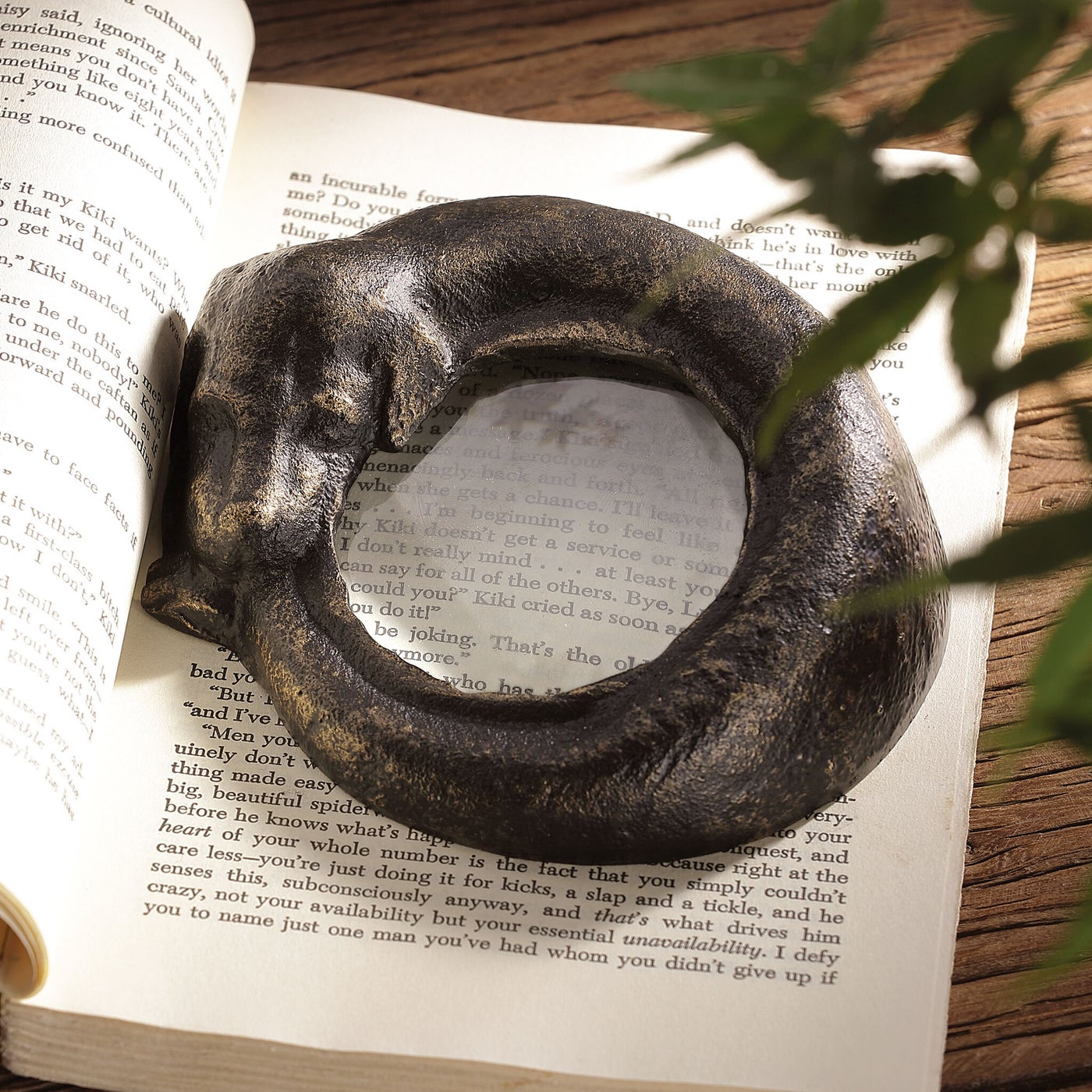 Sleeping Dog Magnifier