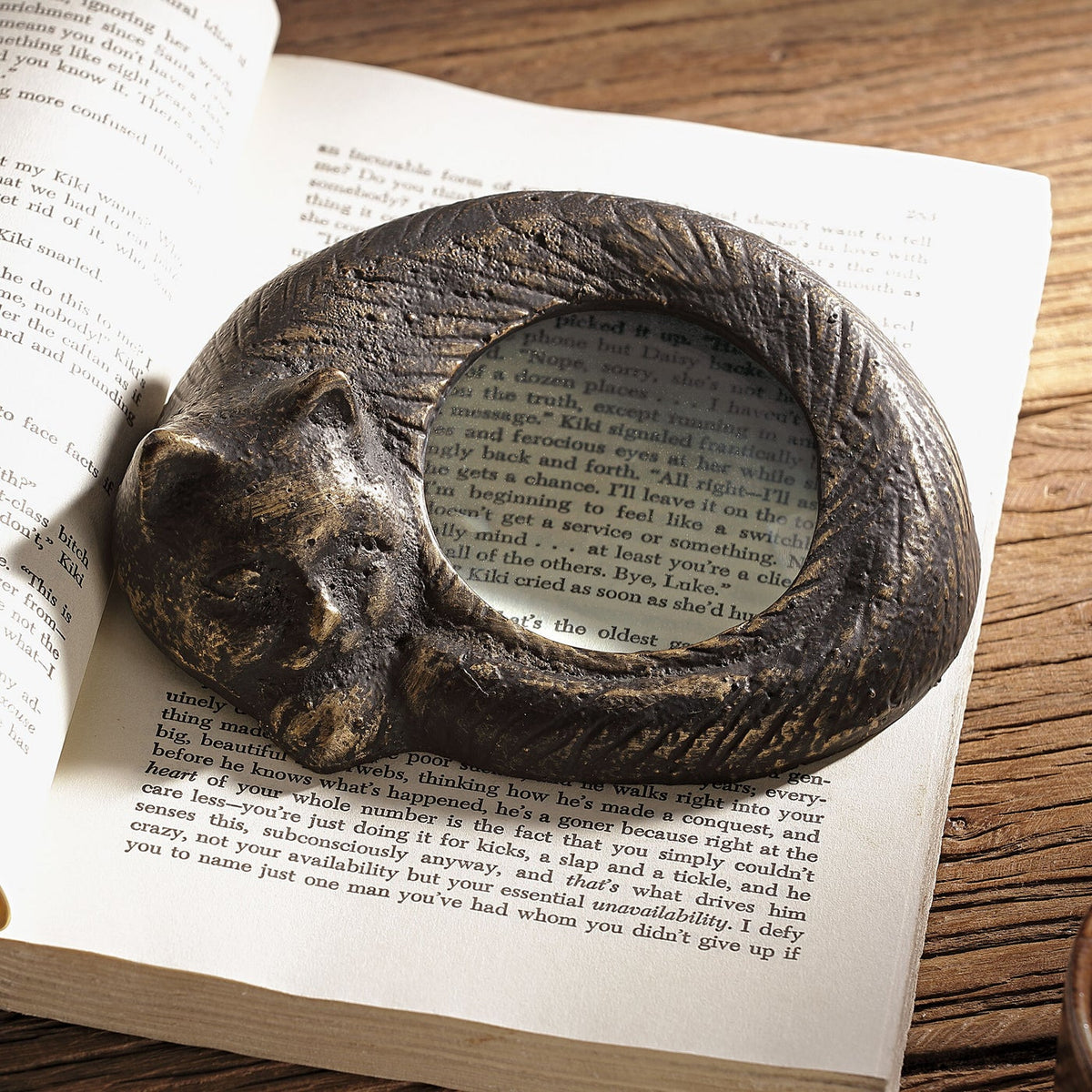 Sleeping Cat Magnifier