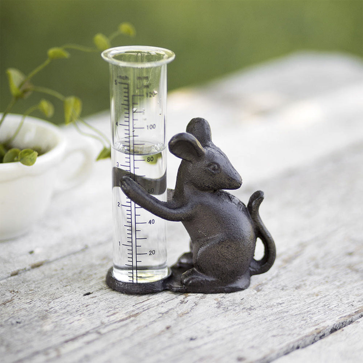 Mouse Rain Gauge