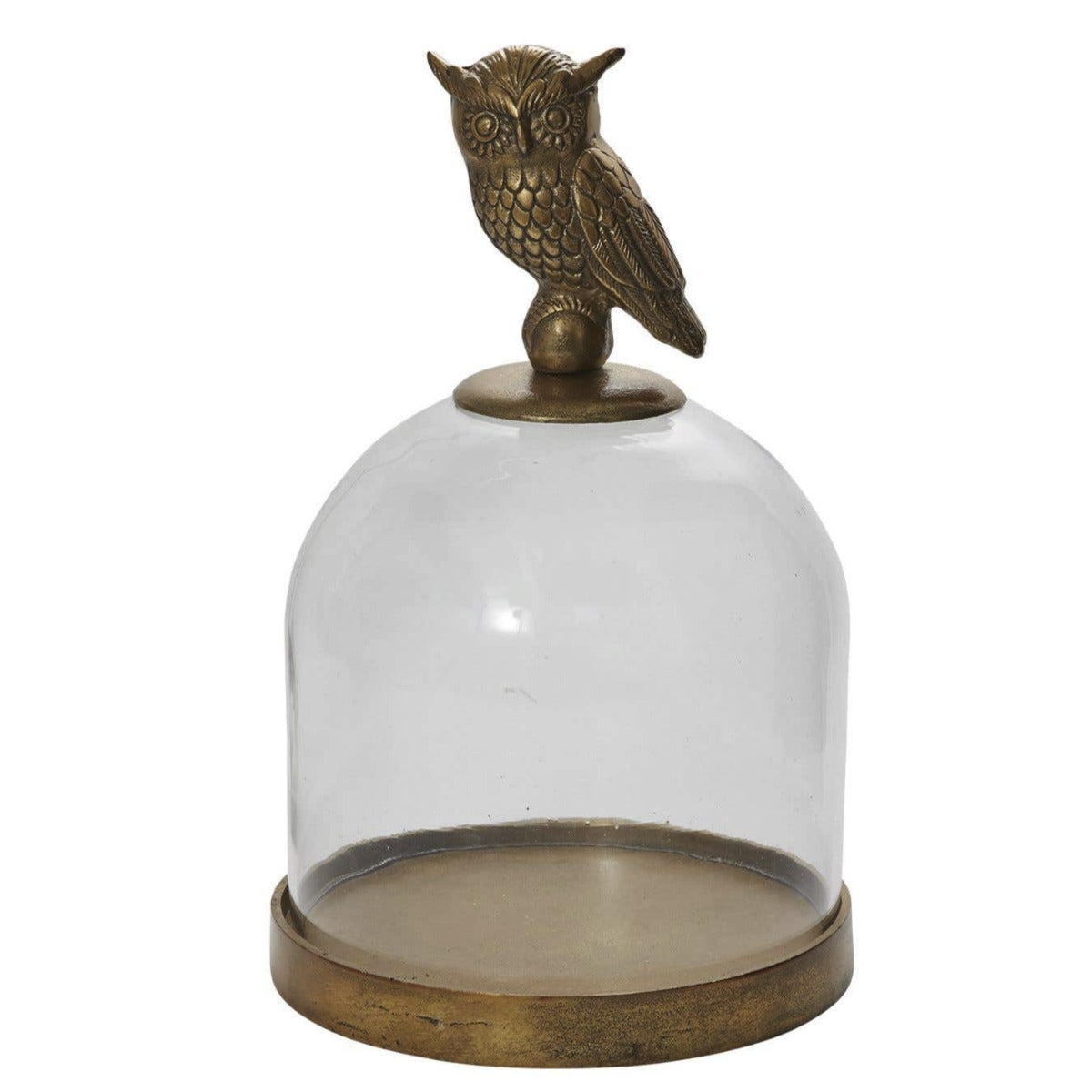Golden Owl Cloche