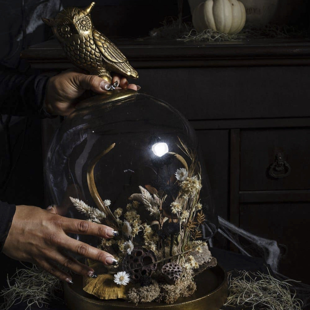 Golden Owl Cloche