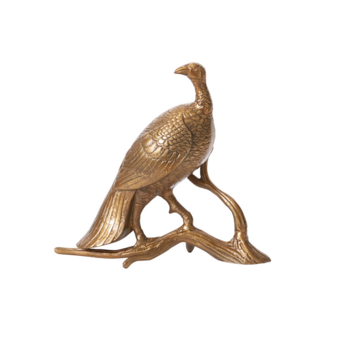Bronze Feathered Fowl