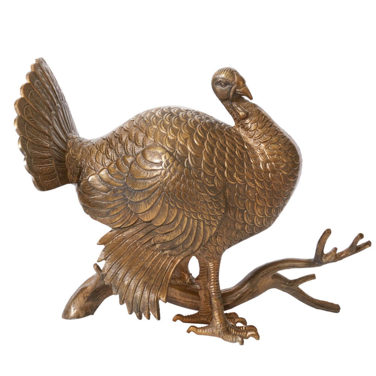 Merriam Turkey - Male