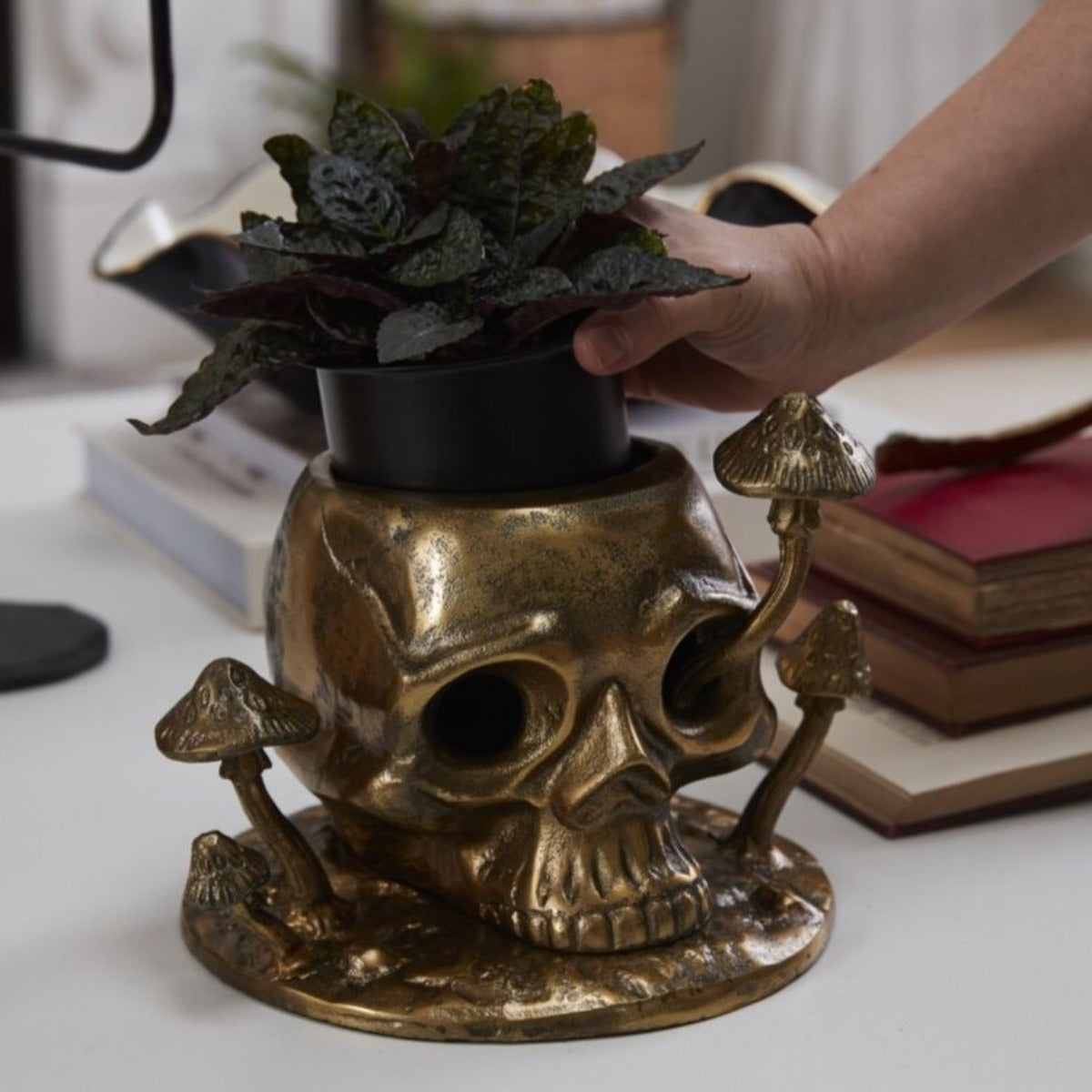 Enigmatic Alchemy Planter
