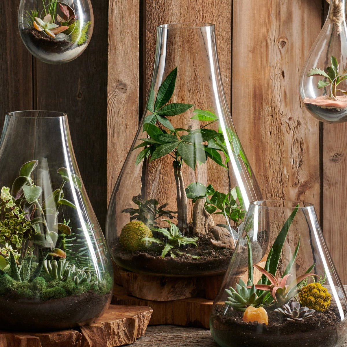 Bring Nature Indoors with Bubble Glass in Three Sizes - Accents