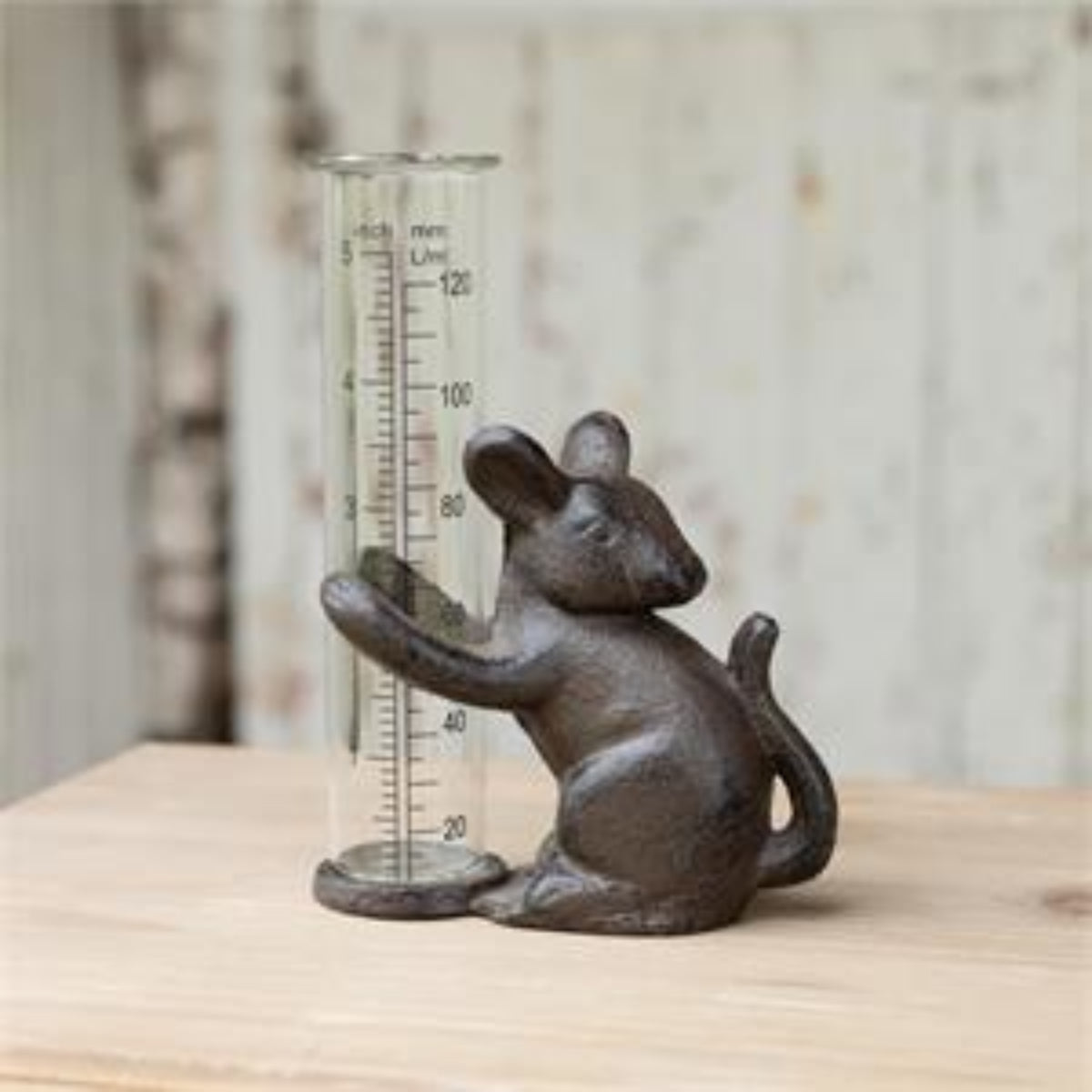 Field Mouse Rain Watcher