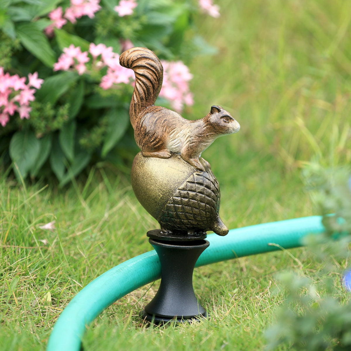 Alder Squirrel Hose Guard