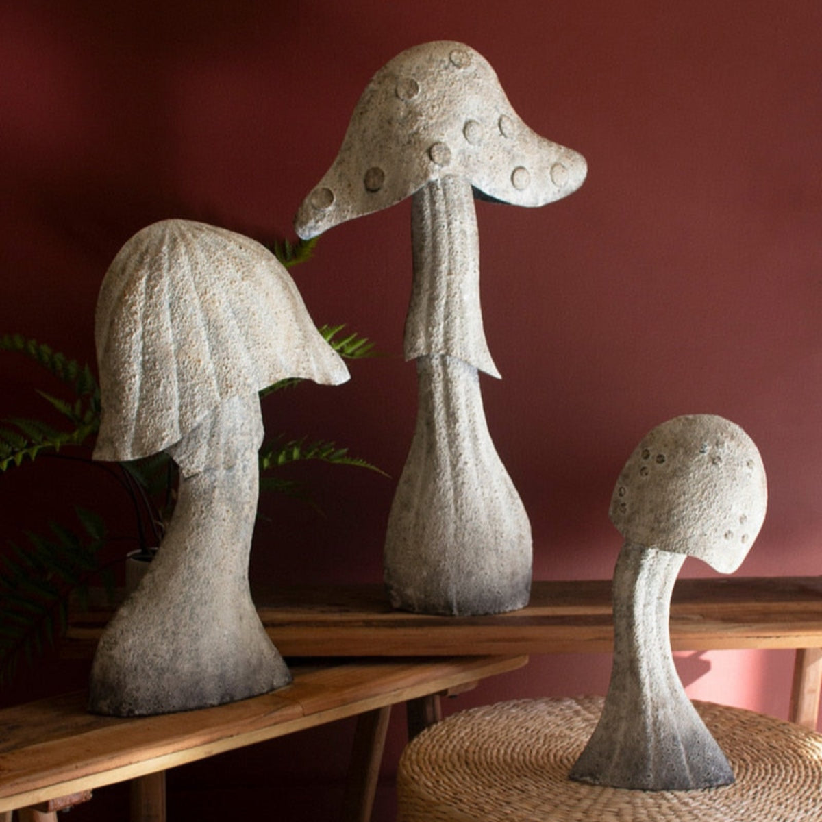 Mystic Meadow Mushroom Trio
