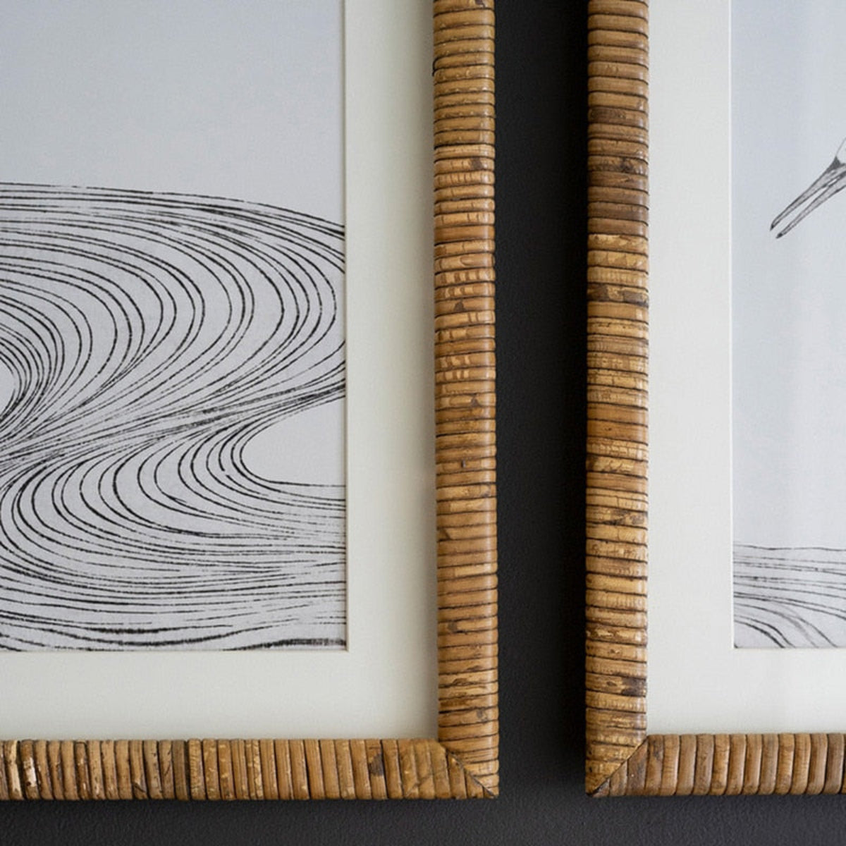 The Tranquil Tides – Framed Shore Bird Prints