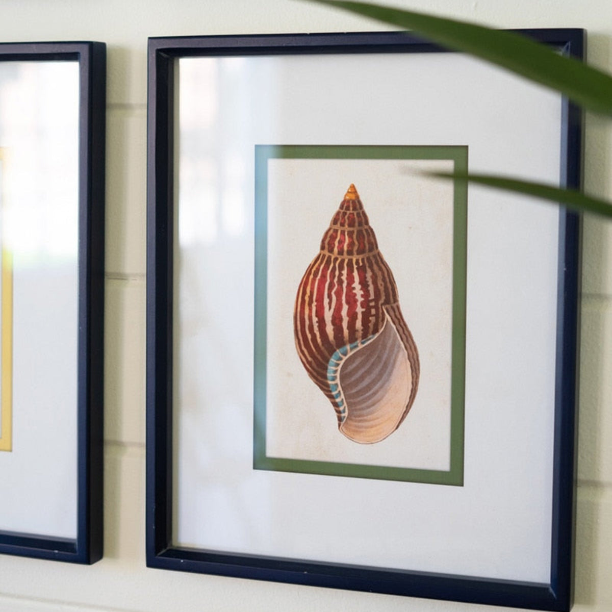 The Tidal Collection – Shell Prints