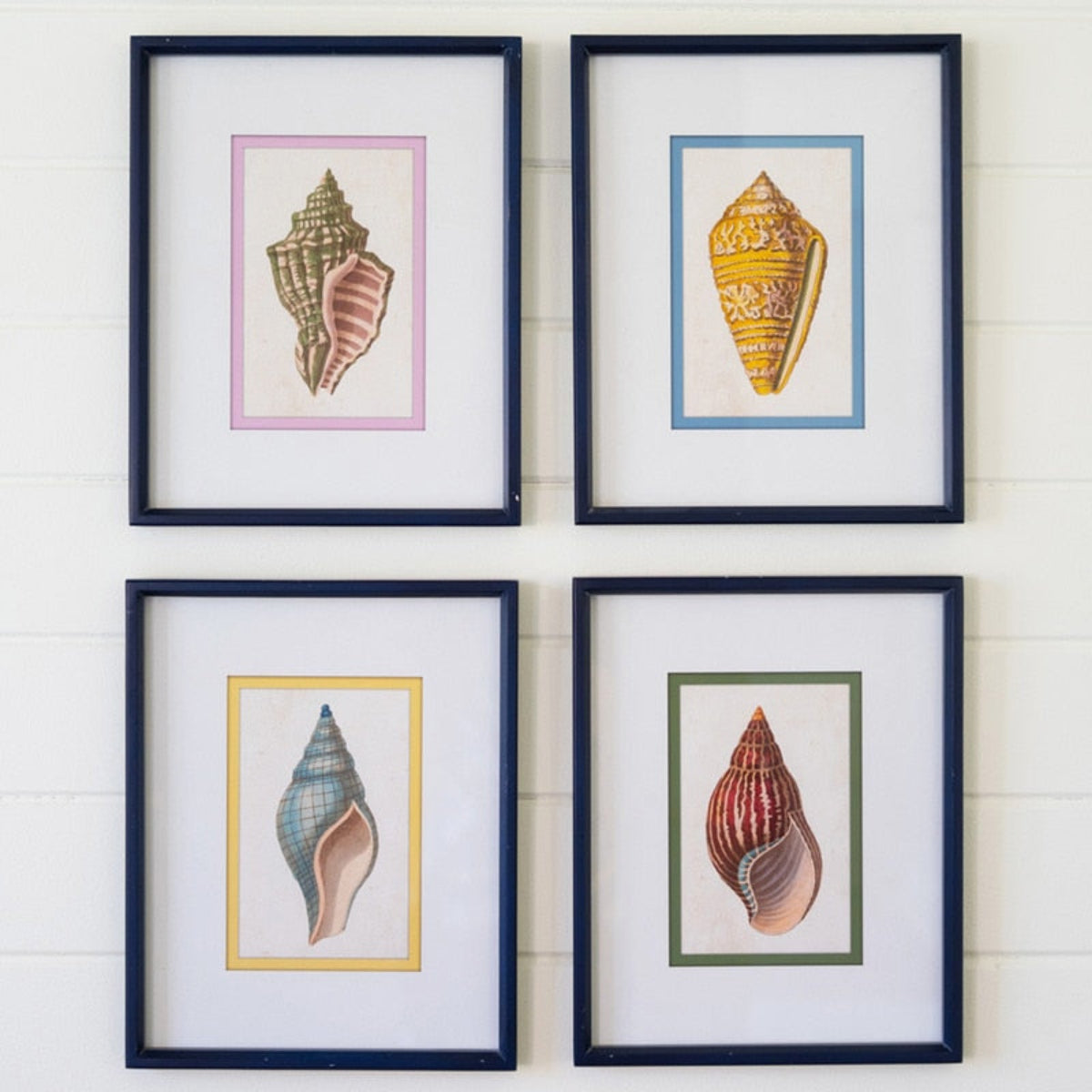 The Tidal Collection – Shell Prints