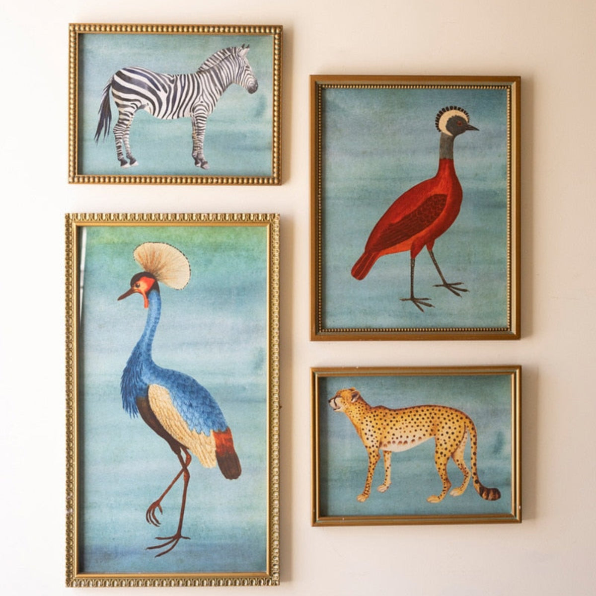 Curious Creatures Framed Prints Set