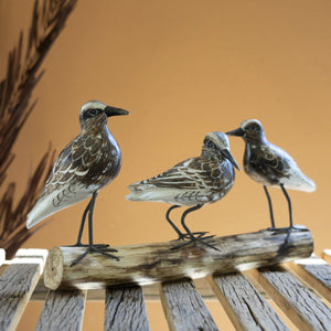 Driftwood Aviary Trio