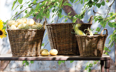 Willow Baskets