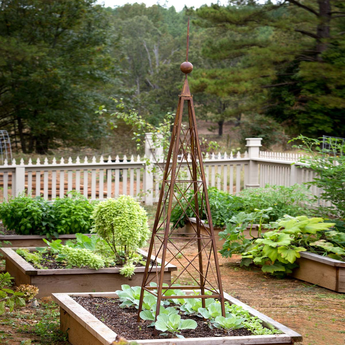 metal and wood trellis Metal Garden Trellis