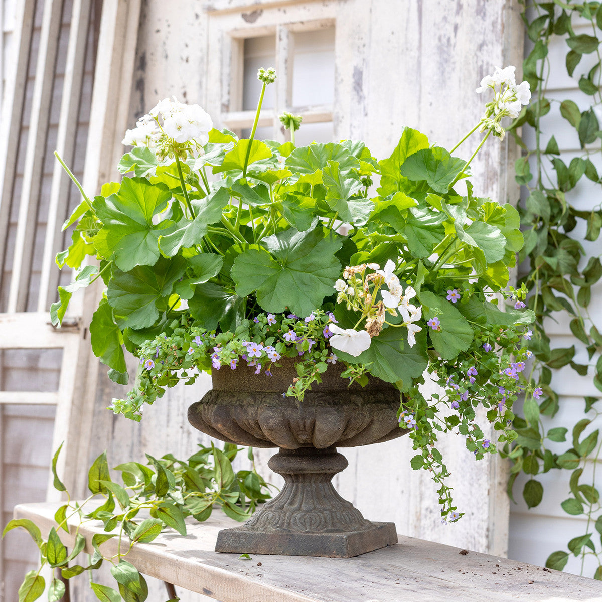 Classic Cast Iron Garden Urn