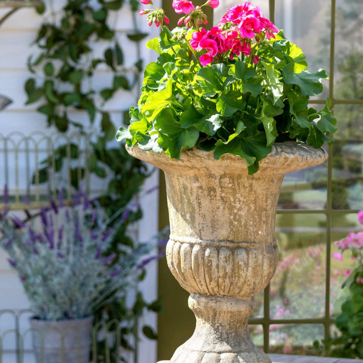 Courtyard Garden Urn