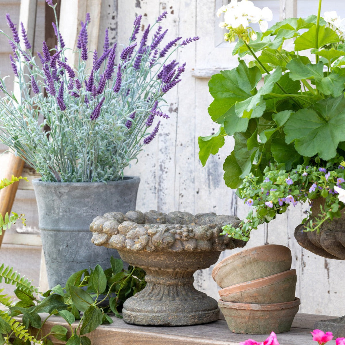 Dellarobia Garden Bowl