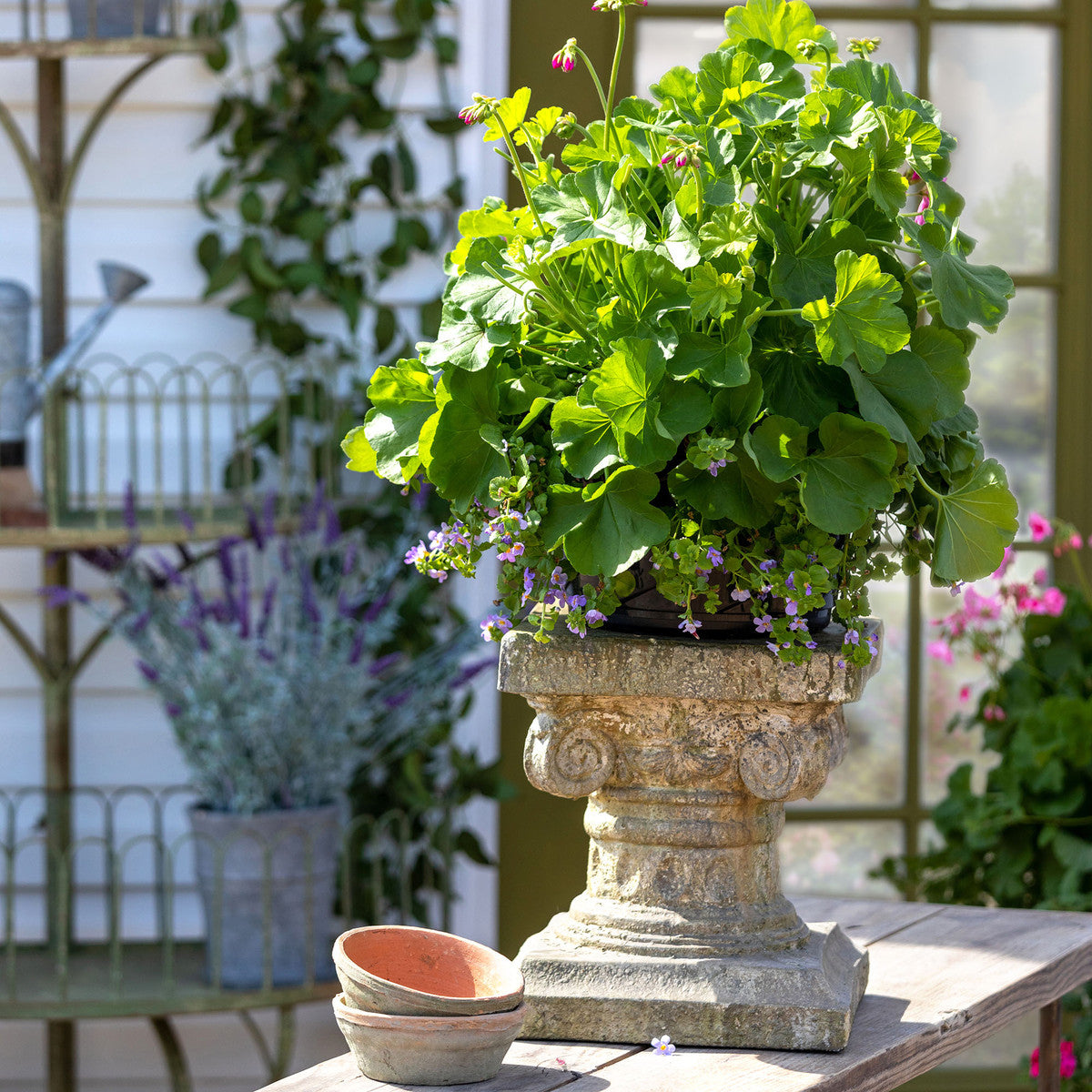 Small Courtyard Pedestal