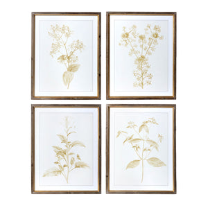 Sepia Botanical Prints