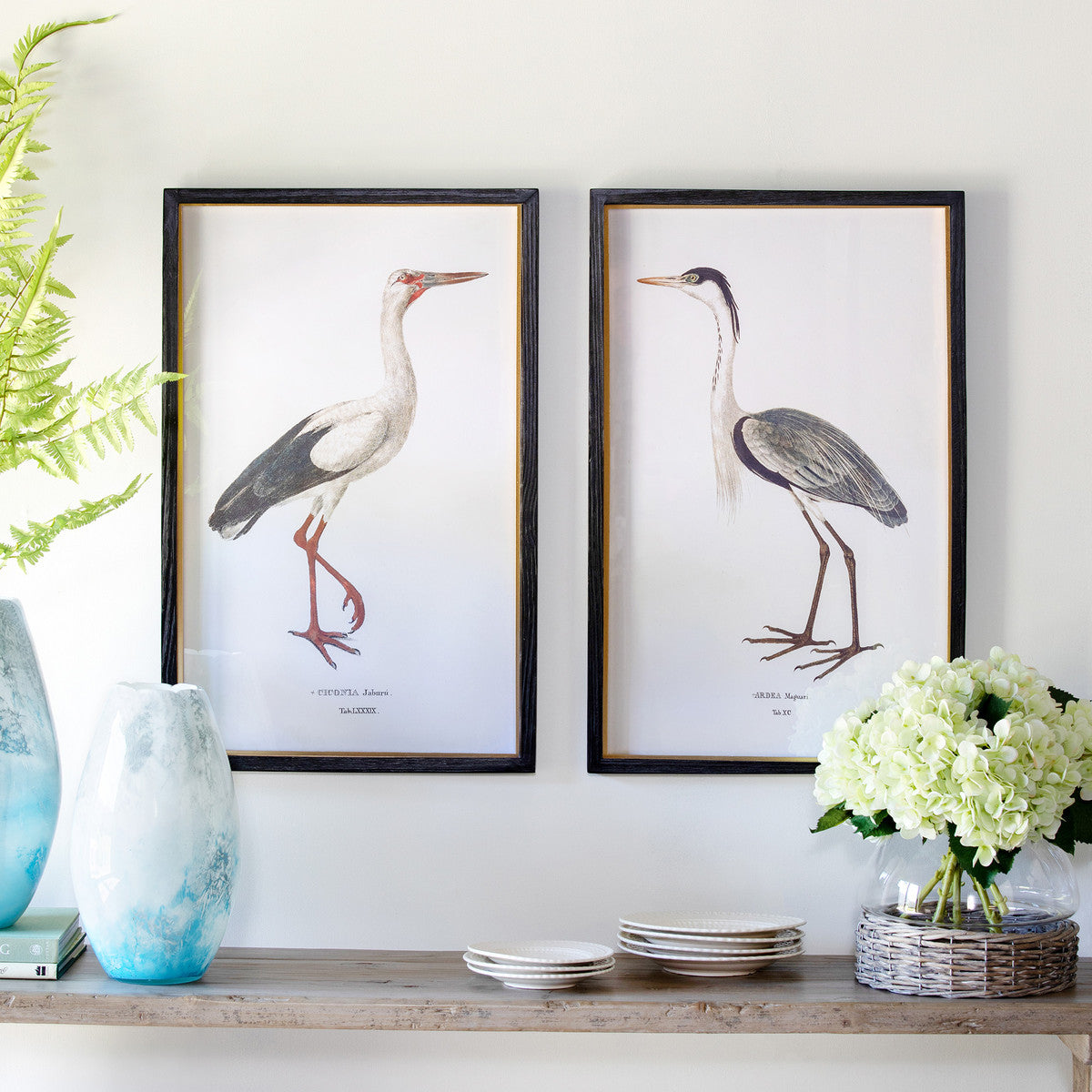 Coastal Heron Framed Prints