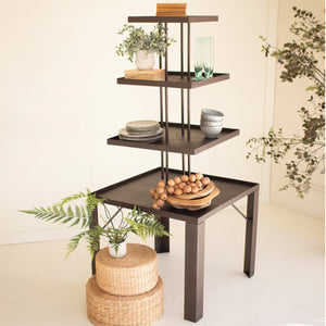 Framework Four-Tier Metal Display
