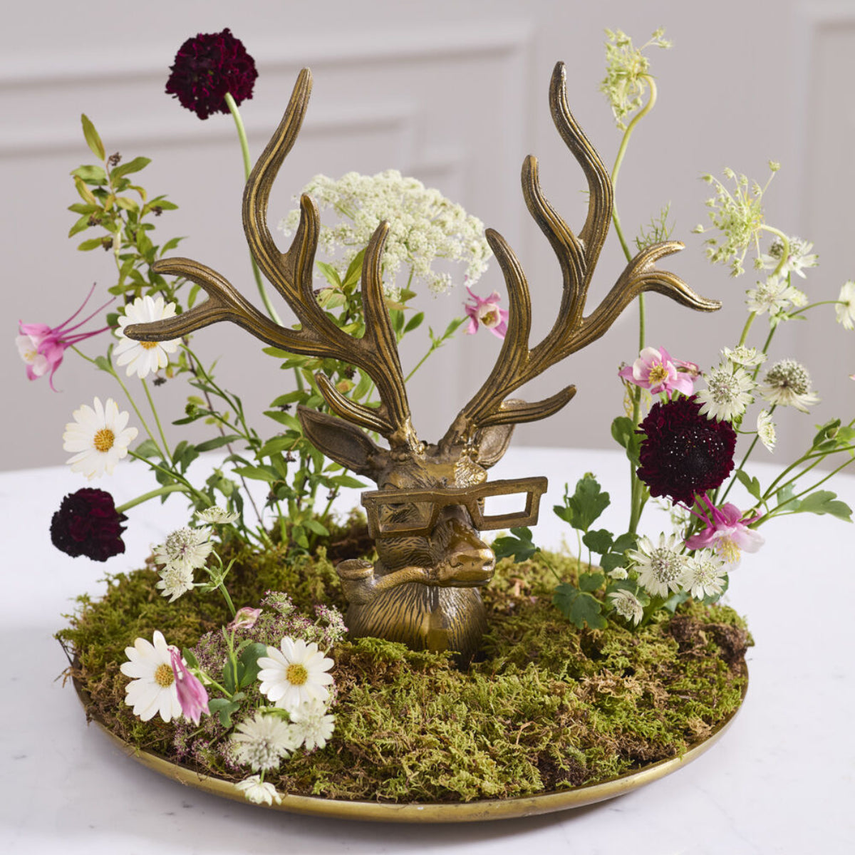 Frankie the Buck Tray