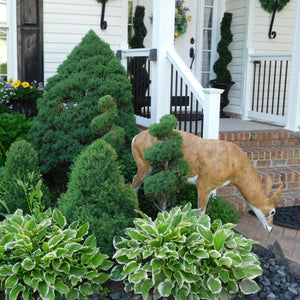 Hand Painted Aluminum Grazing Deer Statue