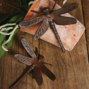 Iron Meadow Dragonfly