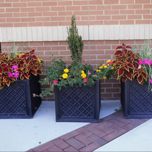 Large Square Planter