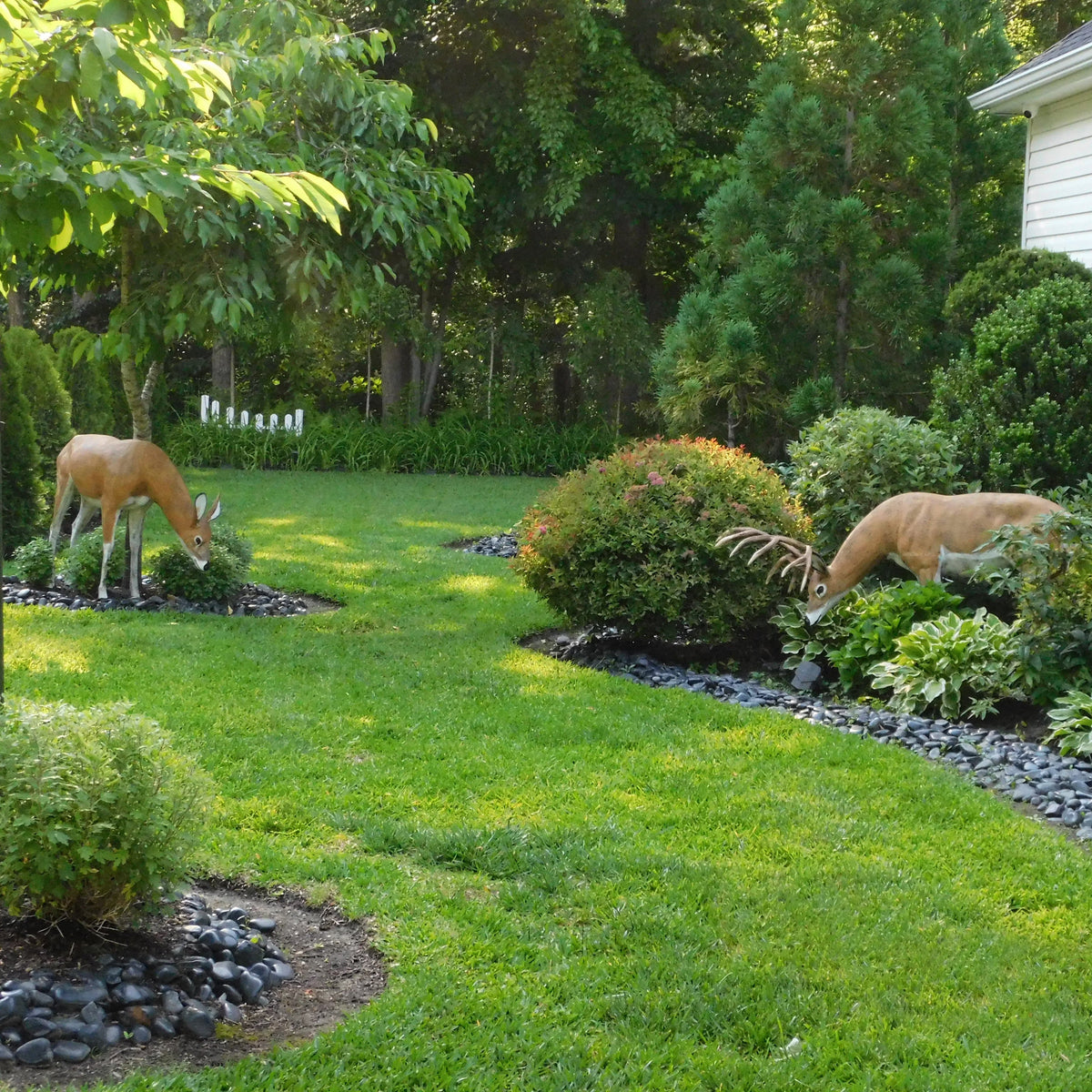 Lifelike Garden Deer Statues