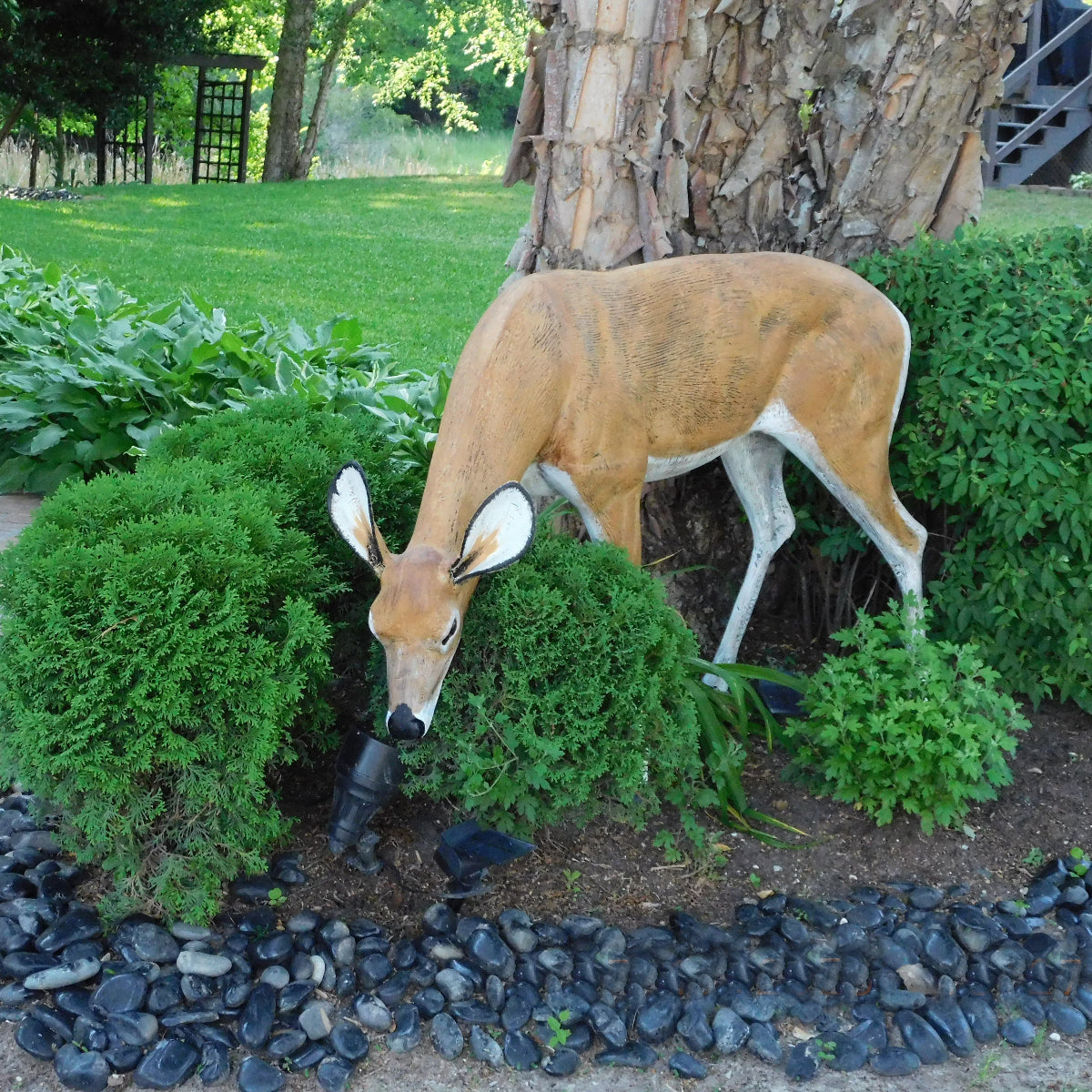 Lifelike Grazing Deer Statue