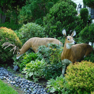 Lifelike Hand Painted Aluminum Garden Deer