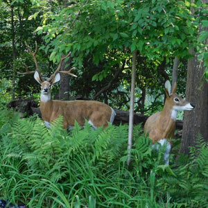 Lifelike Hand Painted Aluminum Garden Deers