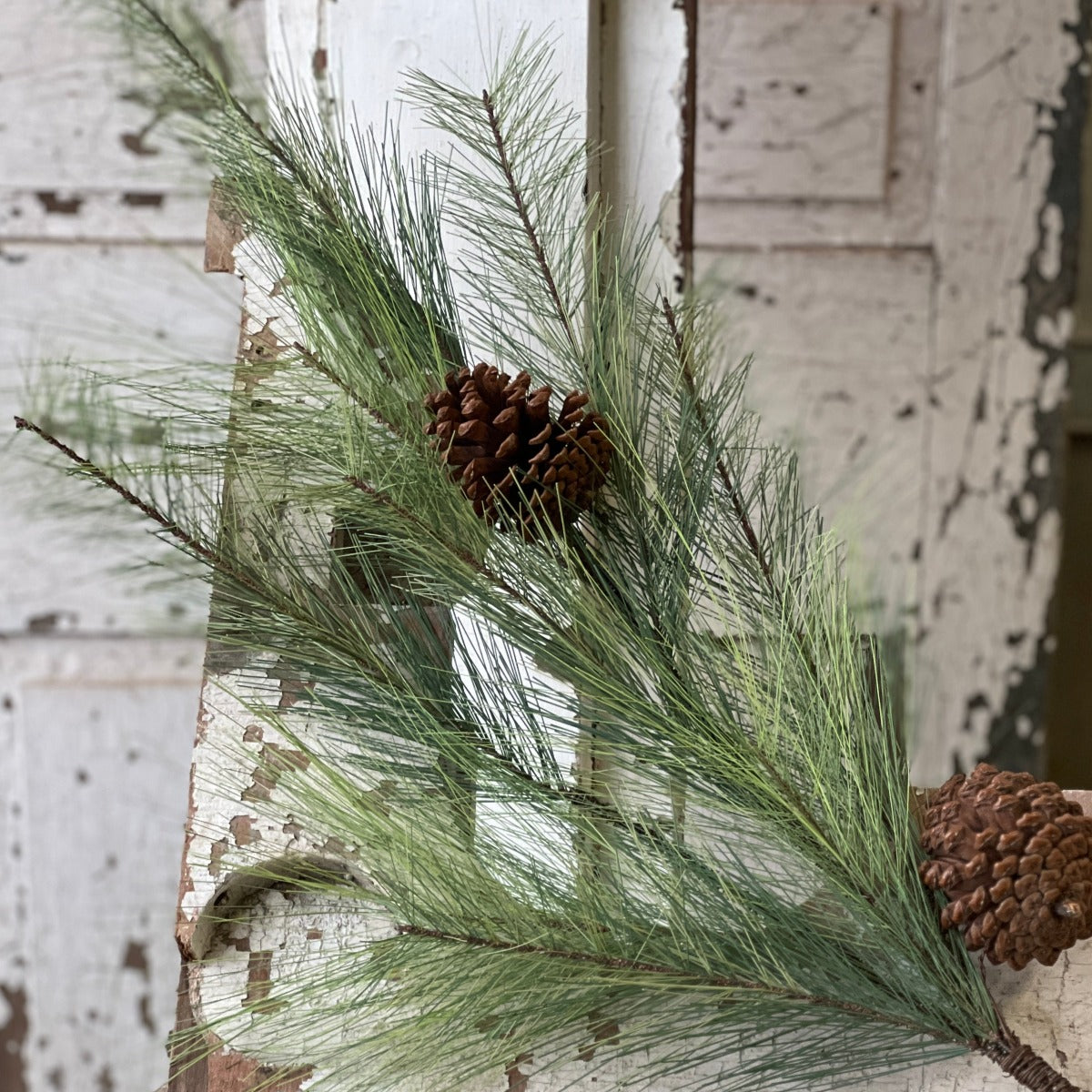 Mixed Needle Pine Spray