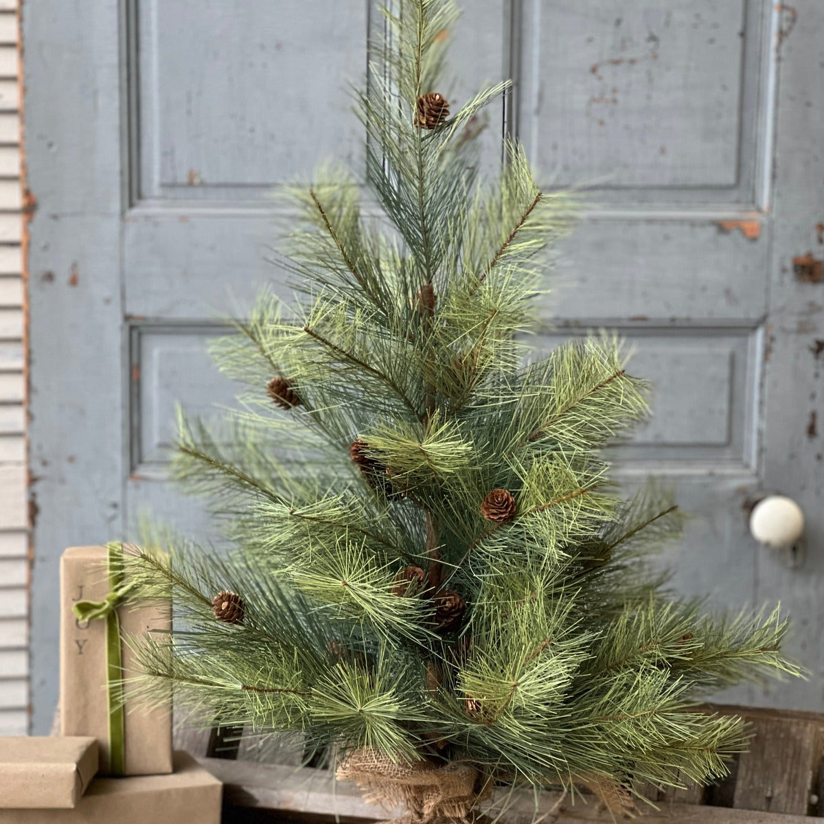 Northern Soft Pine Tree - 30"