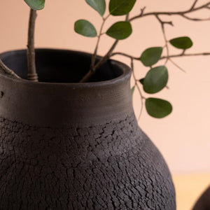 Detail of black crackle texture with greenery