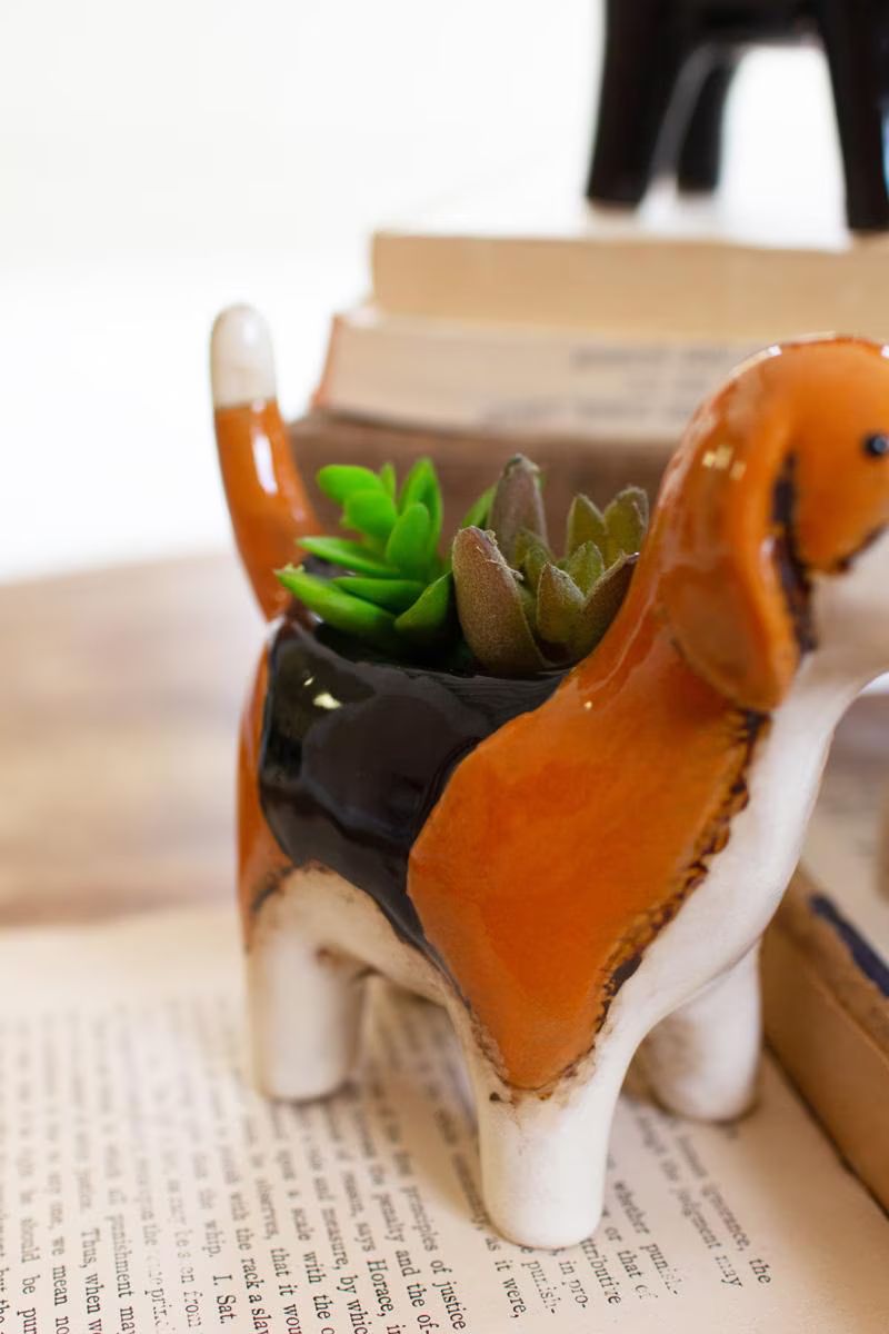 Ceramic dachshund dog planter with a succulent