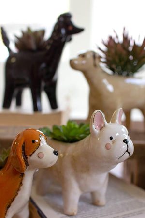 Close-up of ceramic poodle and terrier dog planters with succulents