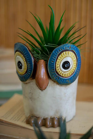 Close-up of a ceramic owl planter with big blue eyes and a succulent