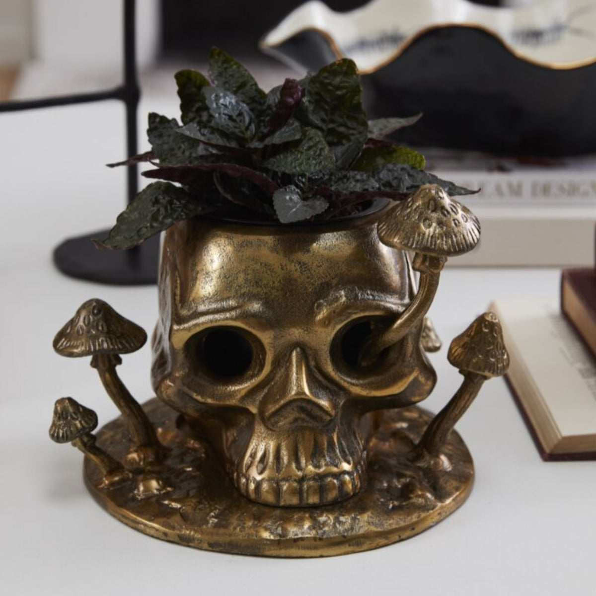 Enigmatic Alchemy Planter