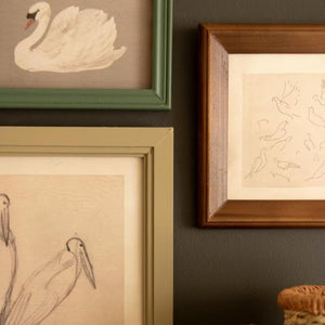 Close-up of vintage-style bird illustration under glass