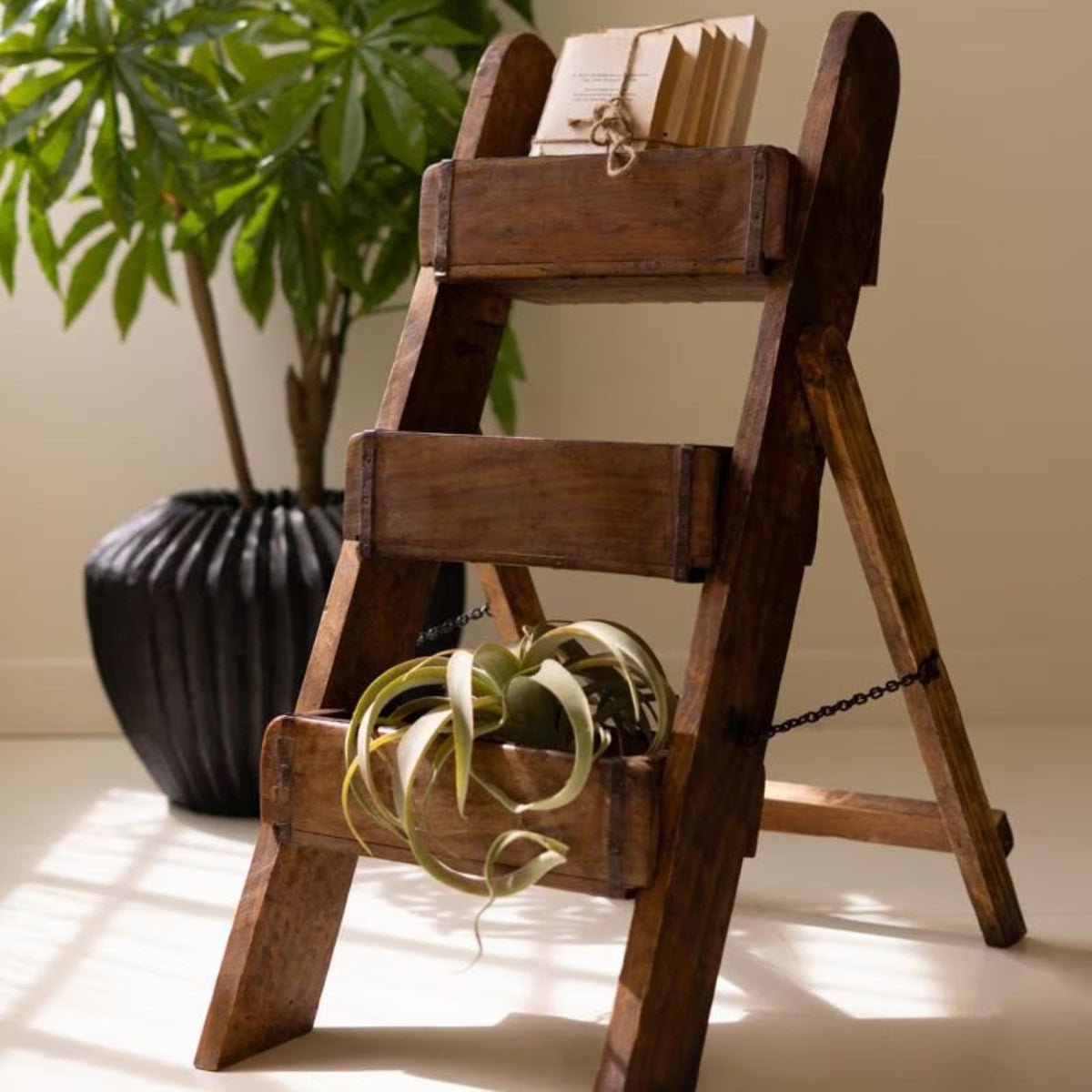 Brick mold display stand with plants beside a potted palm