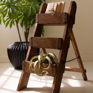 Brick mold display stand with plants beside a potted palm