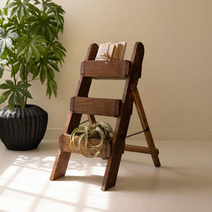 Reclaimed wood three-tier brick mold display stand styled with air plants