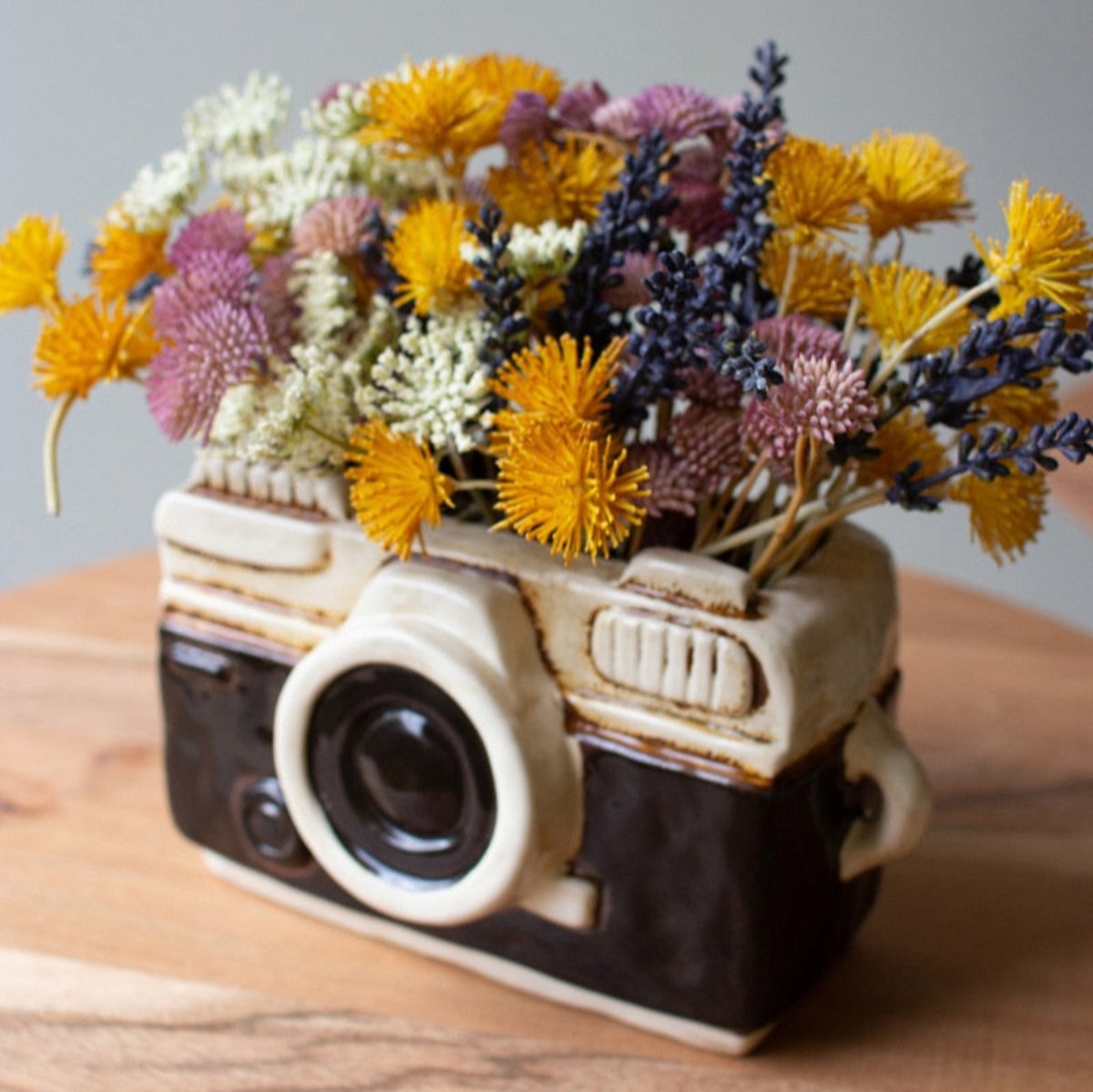 Black and white vintage camera ceramic planter