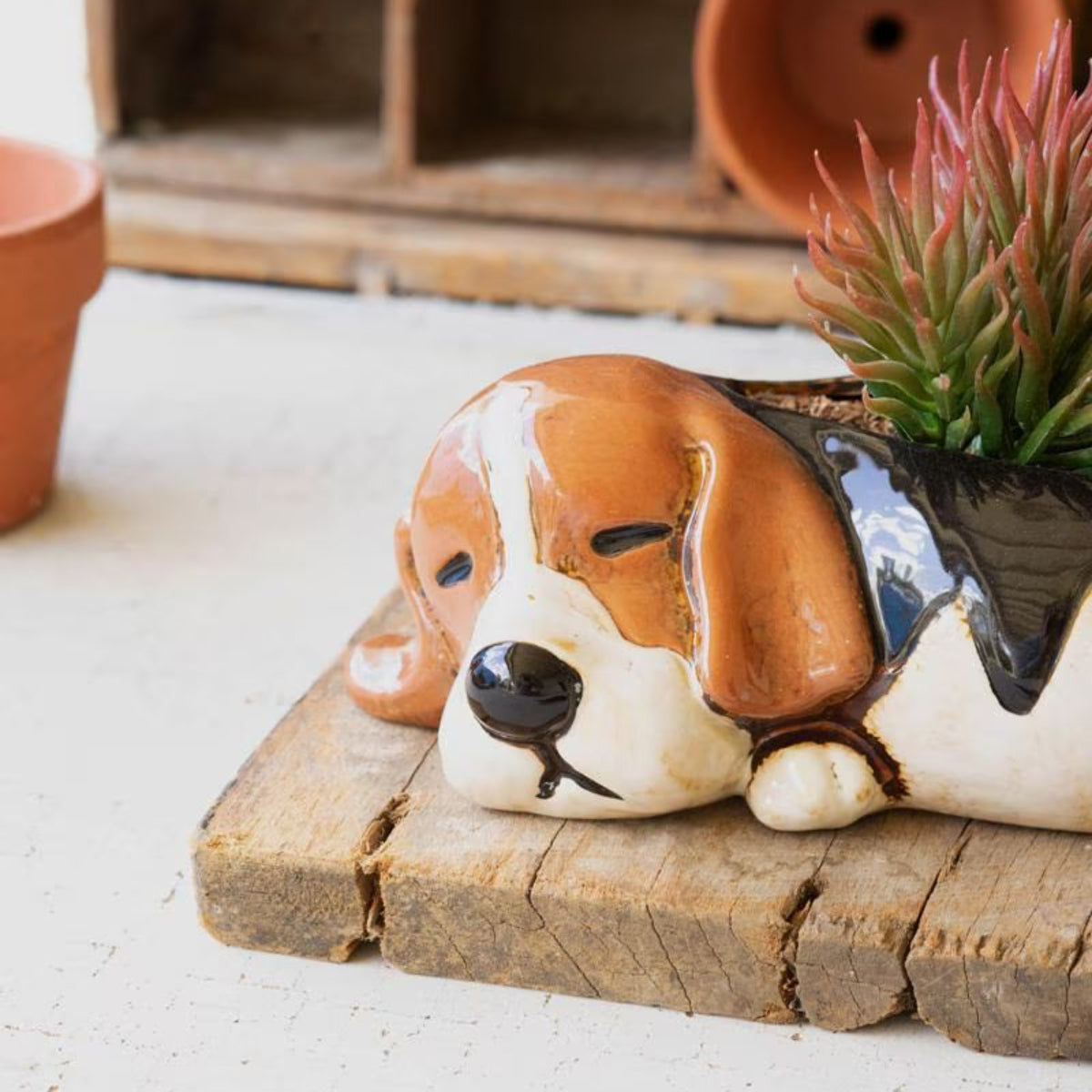 Close-up of sleepy ceramic beagle planter with succulent