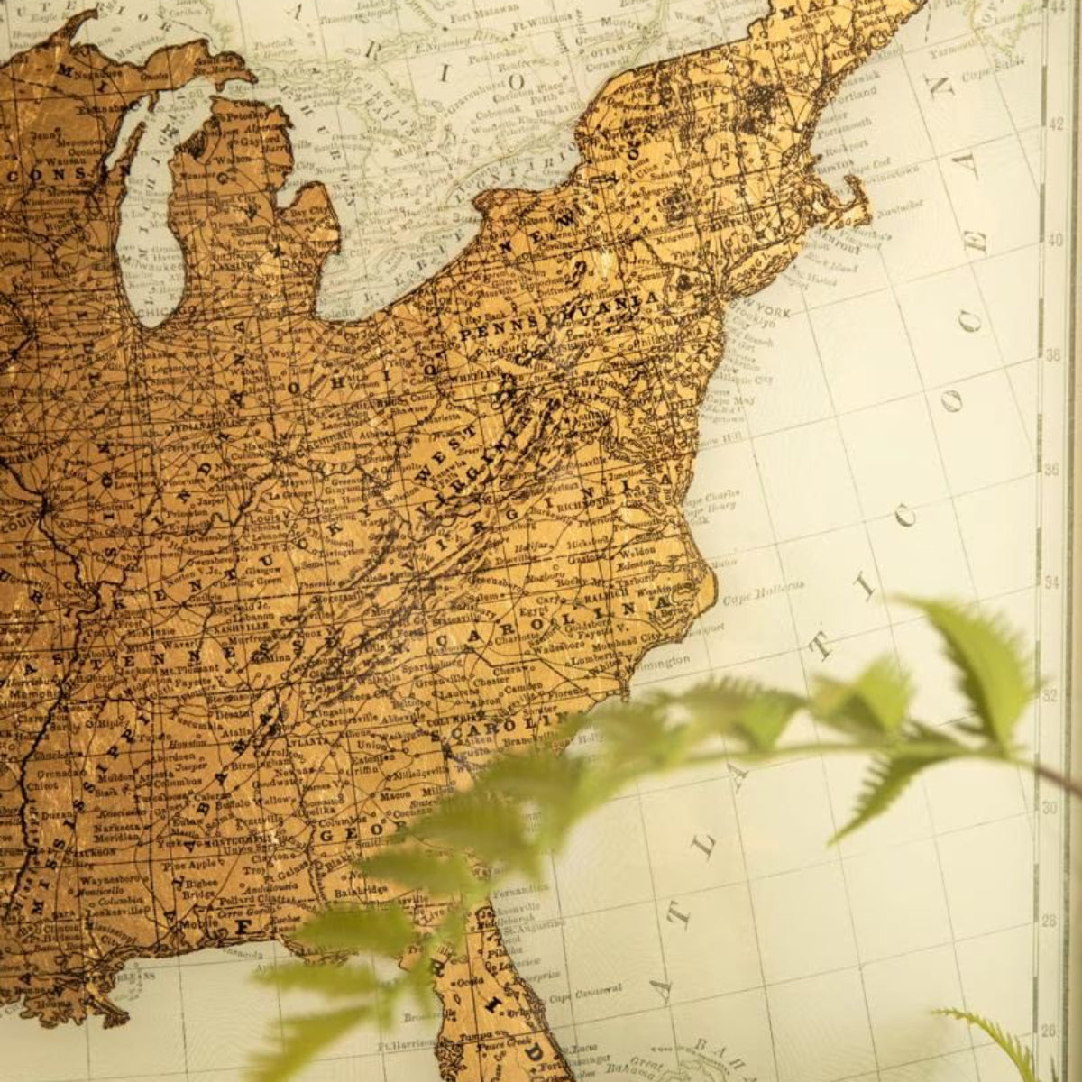 Close-up of metallic gold USA map print