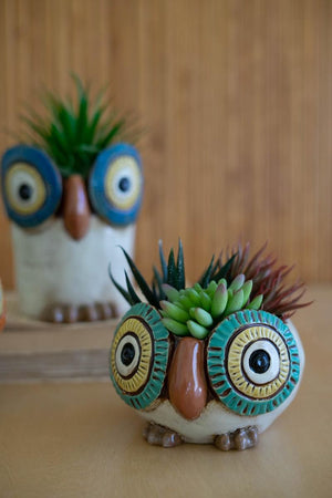 Three whimsical ceramic owl planters with succulents