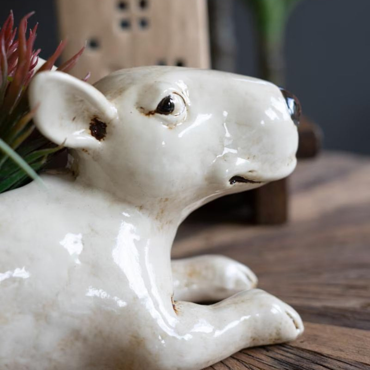 Close-up of glazed white bull terrier dog planter face